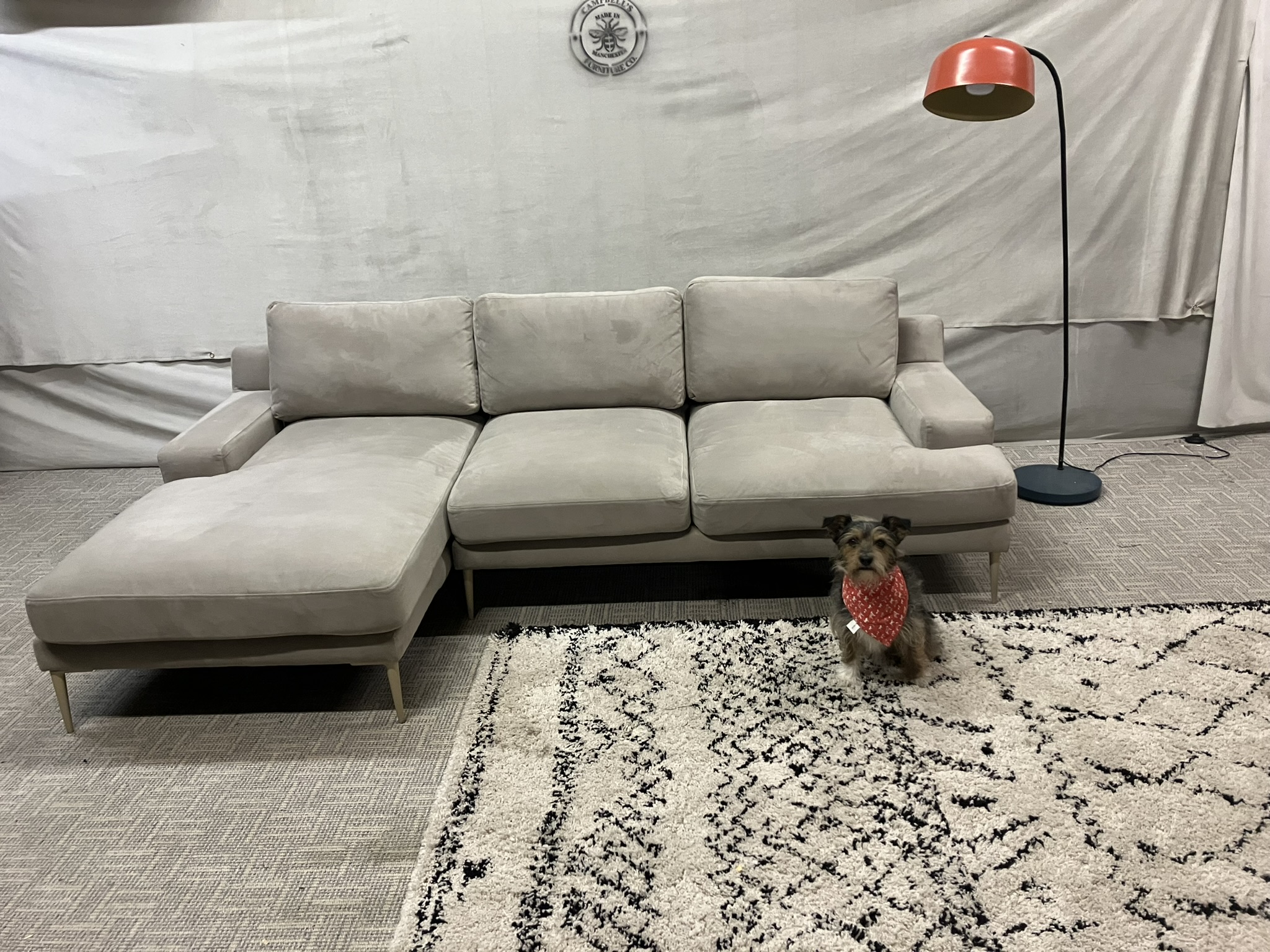 Swoon Almera LH Corner Chaise Sofa in Taupe Easy Velvet RRP 2599 Our Price 1195 Campbells Furniture Co